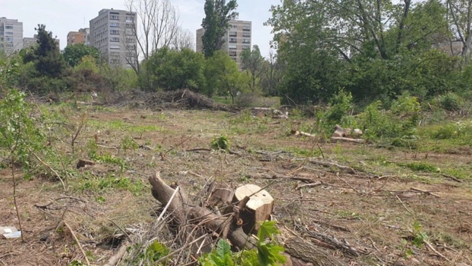 Un consilier AUR îi taxează pe cei din USR pentru situația Parcului IOR: „Au promis că îl vor salva. Astăzi au puterea. De ce nu îl salvează?”