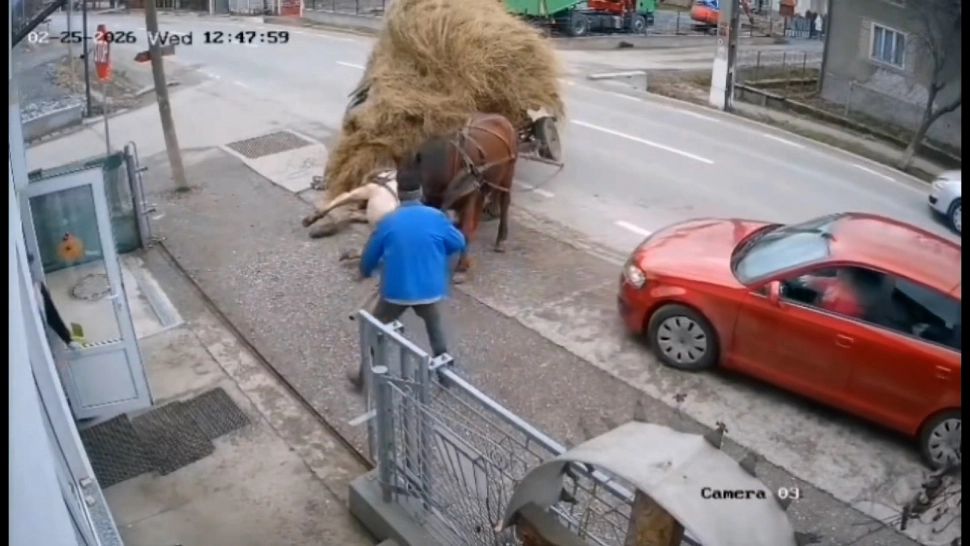 Accident grav în Bistrița-Năsăud: o căruță încărcată cu fân a fost lovită de o mașină în intersecție