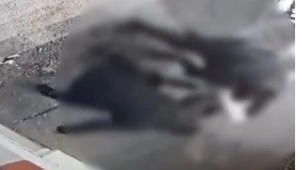 Bărbat bătut de doi indivizi la ieșirea din Spitalul Obregia. Agresorii, care au folosit și un cuțit, reținuți