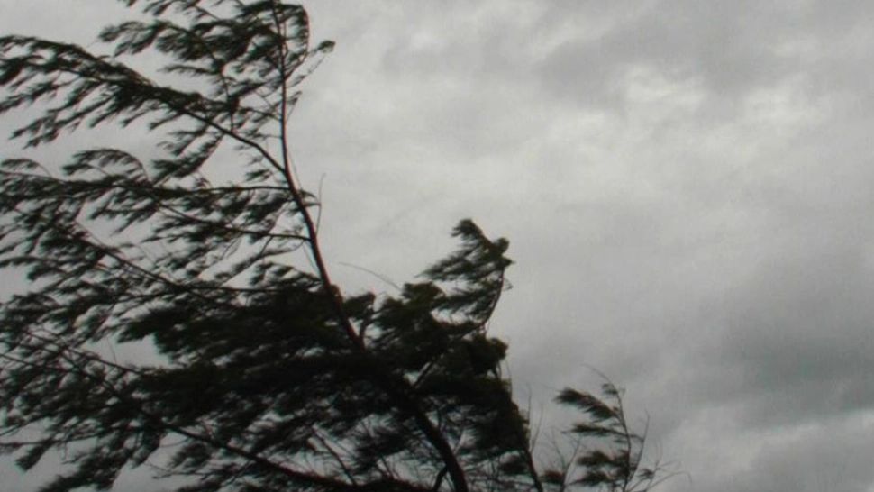 Alertă meteo de vânt și ninsori: recomandările IGSU pentru toți românii: „Evitați deplasările!”