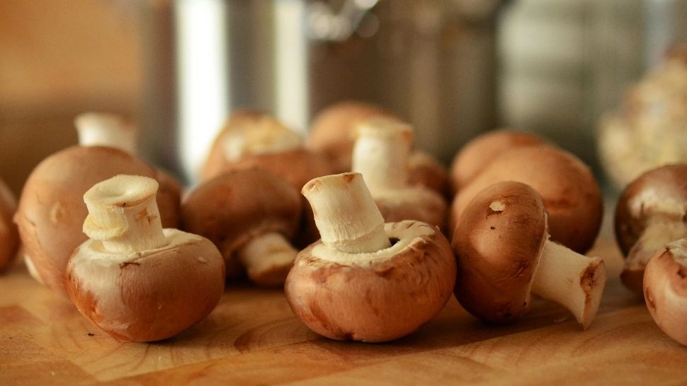 Cele mai căutate preparate de post. Mâncăruri pe bază de ciuperci