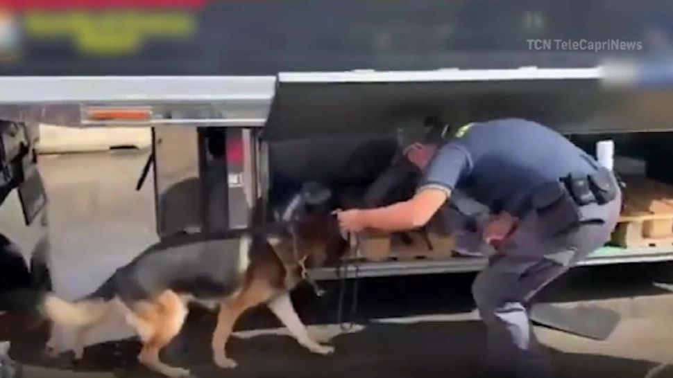 Șofer român, prins cu 100 de kilograme de droguri. Marfă de aproape 3 milioane de euro, ascunsă în TIR