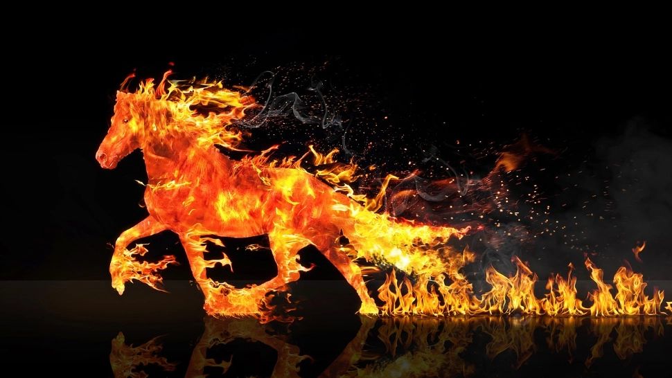 Ce nu ai voie să faci pe 17 februarie 2026, la început de An Nou Lunar. Tradiții care îți pot aduce ghinion în Anul Calului de Foc