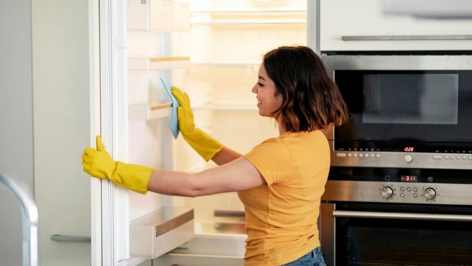 La cât timp trebuie să cureți garnitura frigiderului și cum o igienizezi corect. Trucul care îți va salva electrocasnicul 