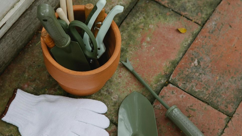 Lucrari de grădinărit specifice lunii februarie. Cum să-ți pregătești corect grădina pentru noul an agrar