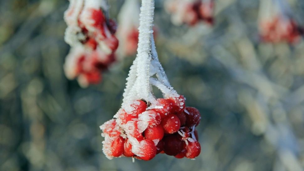 Europa, avertizată printr-un calendar vechi de secole. Posibil episod de iarnă severă la final de februarie și un nou val de frig în aprilie