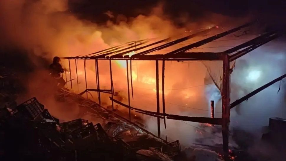 Incendiu de proporții în județul Suceava. O seră de flori a fost mistuită de flăcări -FOTO 