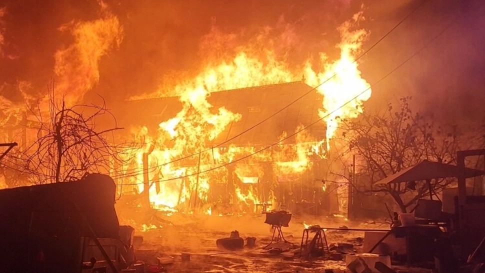 Iad dezlănțuit în curtea unui bătrân din Suceava. Gospodăria, făcută scrum după un incendiu nimicitor - VIDEO