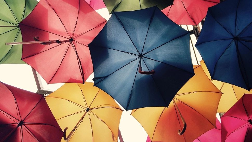 Probleme pentru un pensionar care a comandat trei umbrele de pe Temu. Bătrânul s-a ales cu dosar penal