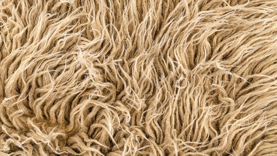 Pericolul invizibil din mochetă. Boli pe care le poți dezvolta. Semnal de alarmă tras de specialiști