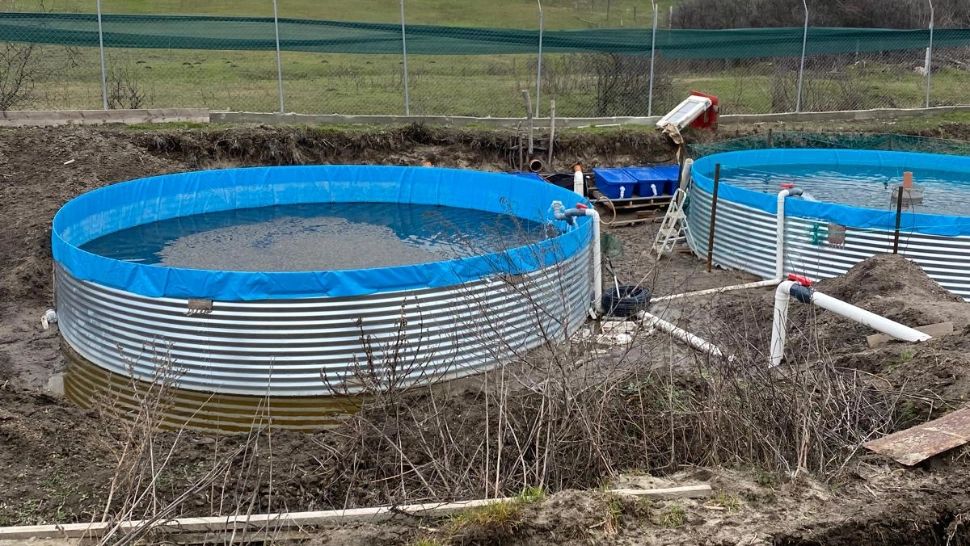 „Minunea” de pe pârâul Gioroc. Un preot a deviat cursul apei pentru o păstrăvărie ilegală