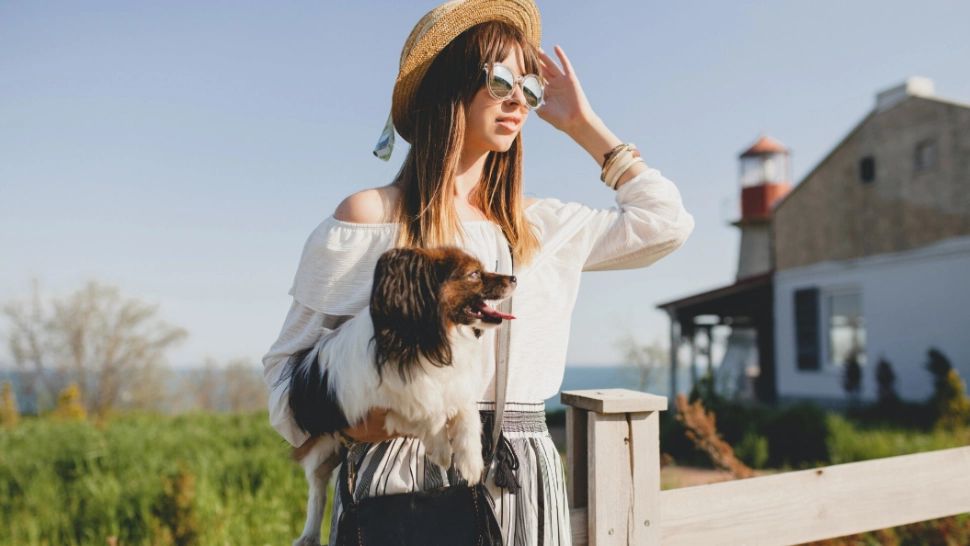 Europa schimbă regulile pentru călătoriile cu animale de companie. Verificări mai dure, documente noi și posibile înregistrări digitale din 2026