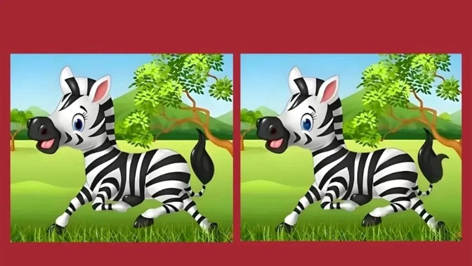 Cel mai provocator test IQ pune internetul la încercare. În cât timp poți găsi cele trei diferențe?