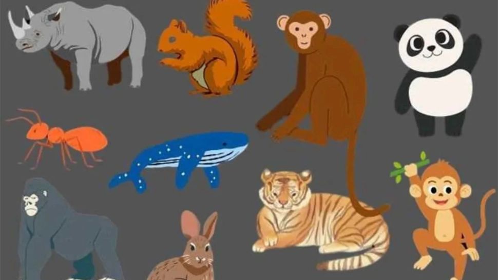 Test IQ fulger: găsește animalul care nu se potrivește în doar 3 secunde! Doar mințile excepționale reușesc