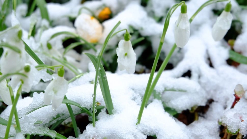 Un nou șoc termic vine peste România. Intervalul de vreme caldă se întrerupe brusc, iar gerul lovește din nou țara în următoarele zile