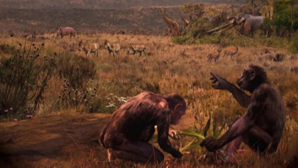 Descoperire uriașă în știință: Primii oameni ar fi trăit în Bulgaria, nu în Africa