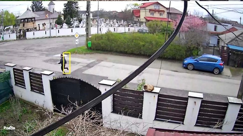 Urmărire cu focuri de armă la Buftea. Imagini șocante, fugarul urmărit de polițiști nu avea permis - VIDEO