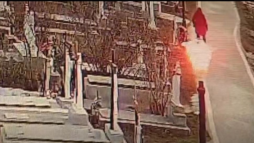 Polițiștii au identificat persoana care a vandalizat mormântul lui Ilie Balaci. Femeia este acum anchetată penal - VIDEO