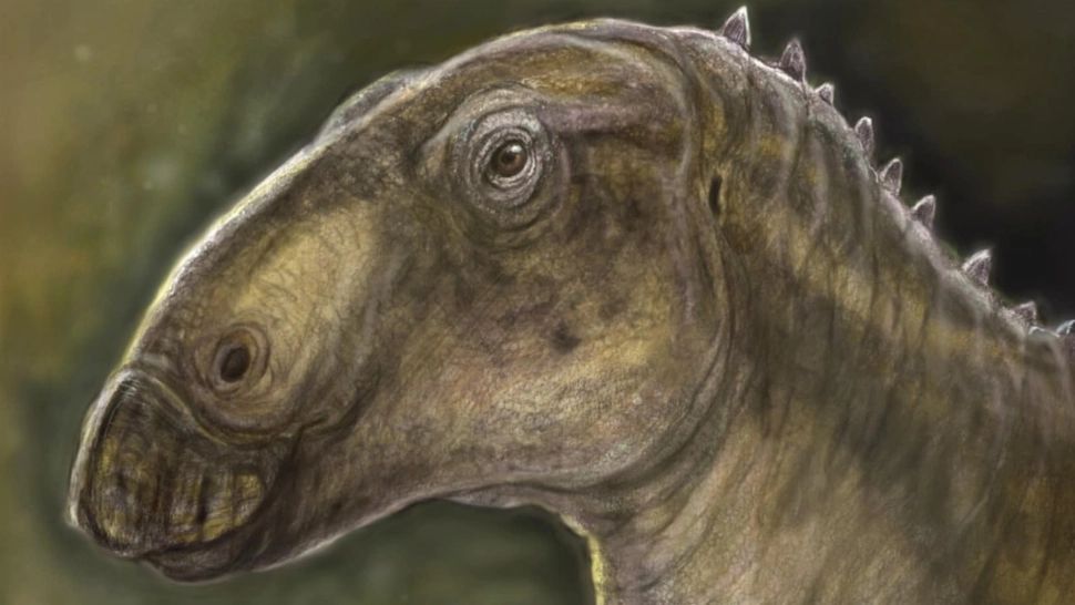 Specie rară de dinozaur, identificată oficial în România după un secol de la primele indicii