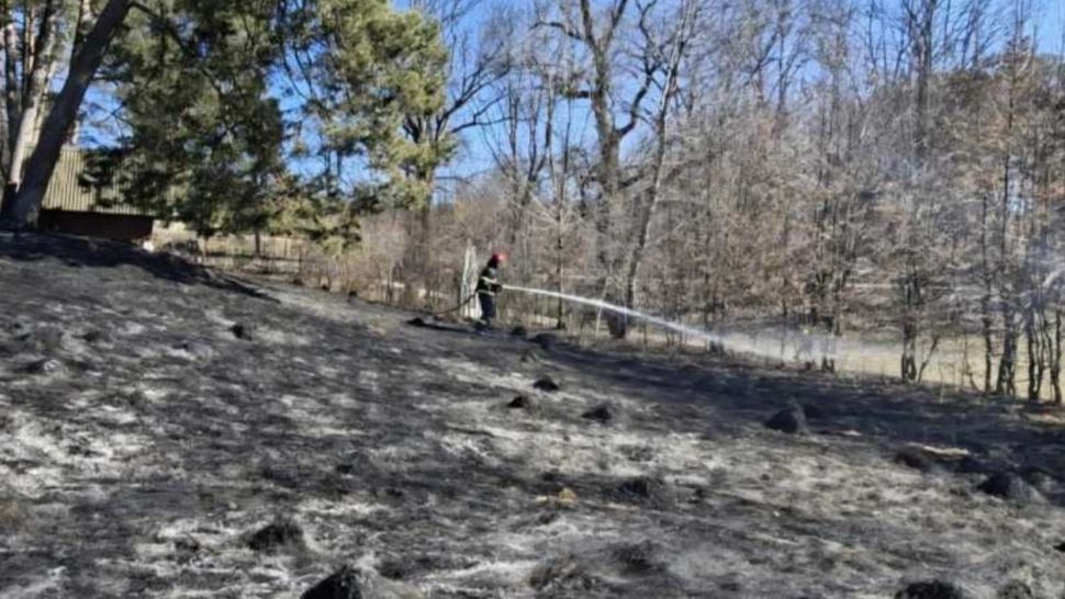 Incendiu în județul Suceava. Șapte hectare de vegetație uscată au fost mistuite de flăcări