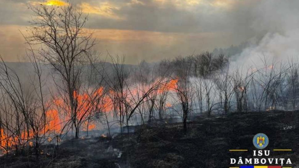 Incendiu de vegetație uscată în județul Dâmbovița. Șapte hectare de teren au fost mistuite de flăcări 