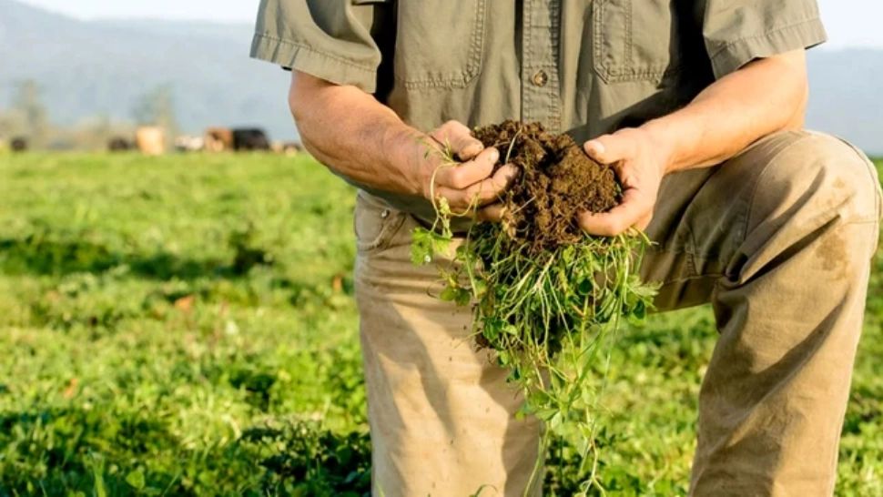 Agricultura românească, pe butuci din cauza războiului din Golf. Fermierii au ajuns la limita răbdării și cer demisia guvernanților