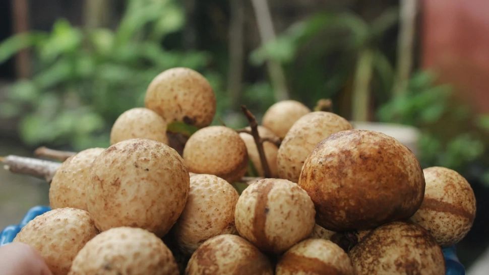 Fructul exotic „ochiul dragonului” câștigă popularitate: ce beneficii are longanul pentru sănătate