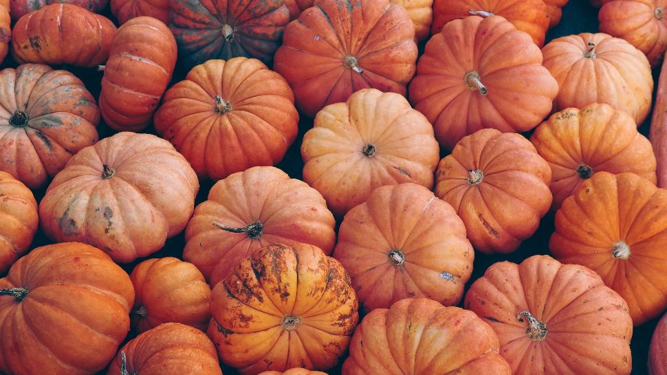 Supă cremă de dovleac copt: rețeta simplă și delicioasă care a cucerit bucătăriile românilor