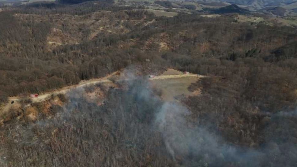 Incendiu de proporții în județul Maramureș. Peste 40 hectare de pădure și vegetație distruse de flăcări