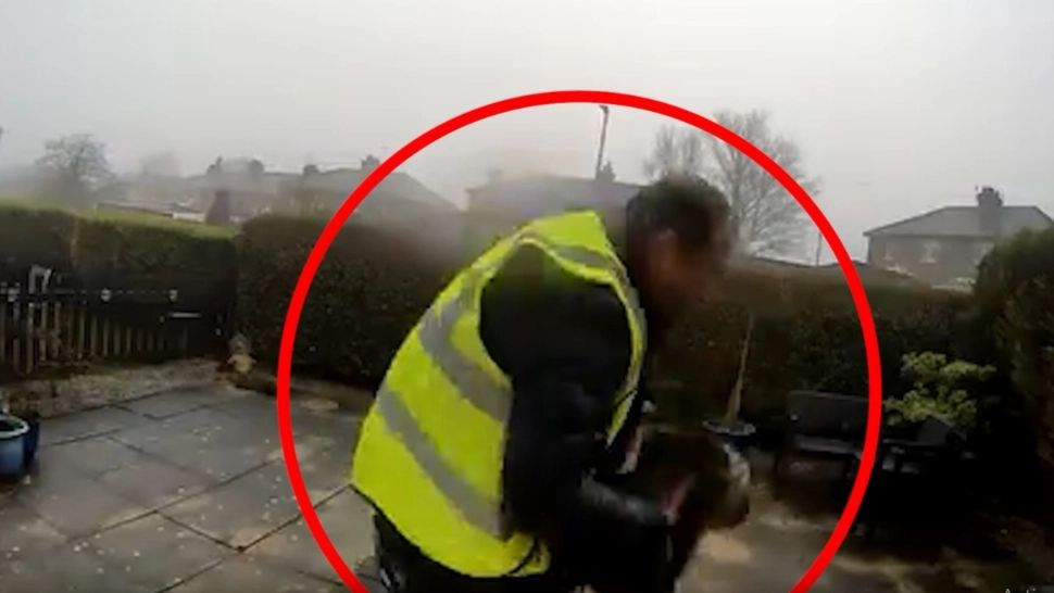 Un curier român a furat pisica unei familii. Ar putea sta ani buni la închisoare după incident