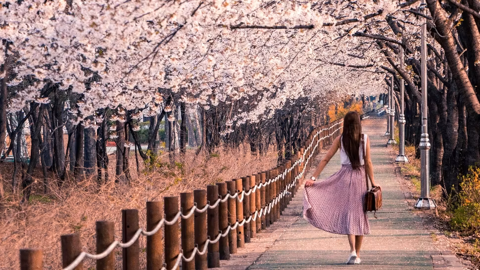 Horoscopul săptămânii: 6-12 aprilie 2026. O săptămână de introspecții interioare. 2 zodii au parte de schimbări benefice