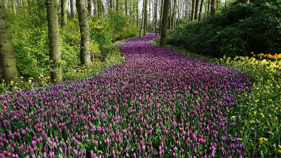 Horoscopul zilei: vineri, 17 aprilie 2026. Final de călătorie pentru câteva zodii. Noi direcții pline de oportunități