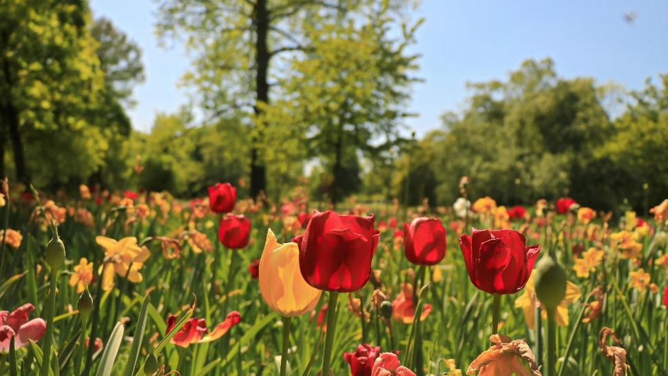 Horoscop de weekend: 21-22 martie 2026. Energii diverse. De la agonie la extaz. Vezi zodiile afectate