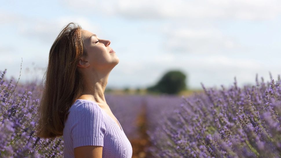 România, departe de standardele OMS privind calitatea aerului. Doar 13 țări din lume respiră aer curat - RAPORT