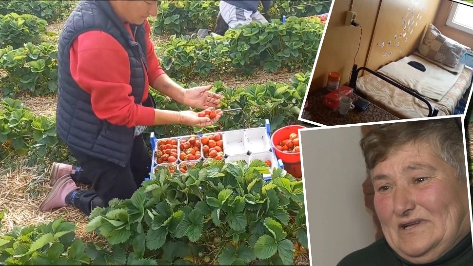 Drama românilor plecați la muncă peste hotare, mărturii sfâșietoare. Cum i-au amăgit politicienii sistemului ani la rând -VIDEO 