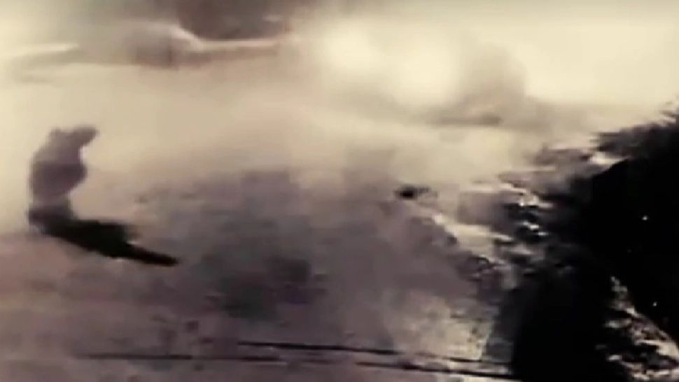 Atac șocant în Teleorman: trei persoane lovite intenționat cu mașina și agresate pe stradă. Un bărbat este în comă