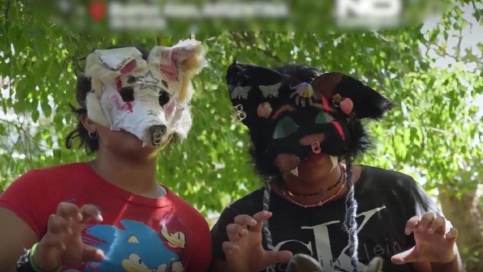 Tineri deghizați în animale, merg în patru labe pe străzi. Ei se identifică cu pisici, câini și vulpi