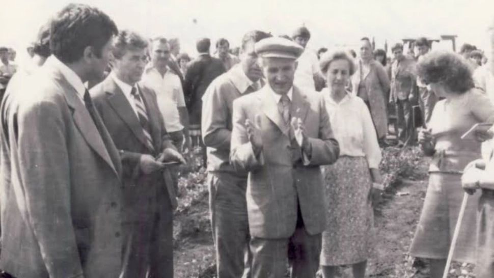 „Minunile zootehniei” din epoca Ceaușescu: porci de o tonă, oi care se înmulțeau peste noapte și prosperitate  doar în ziare - documente CNSAS