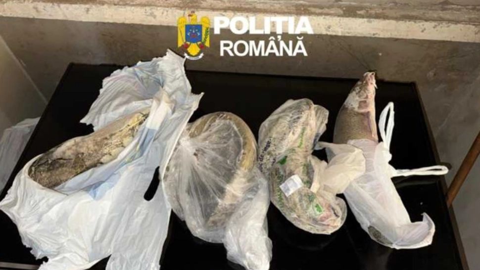 Cinci bărbați reținuți după descinderi pentru pescuit ilegal în Arad și Timiș