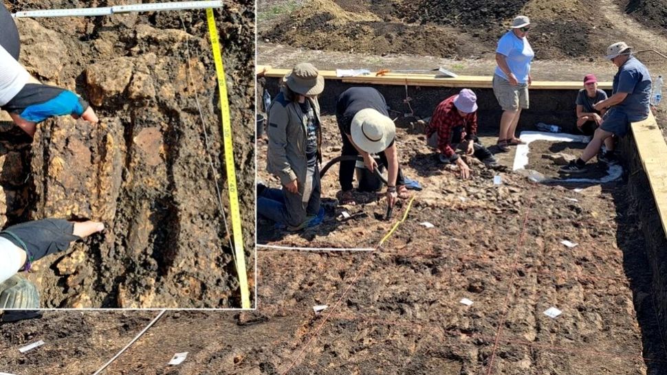 Descoperire arheologică uriașă. Cum se trăia în România acum 6.000 de ani: fără lideri, fără elite, sistem social egalitar