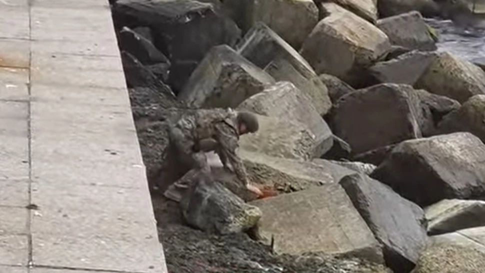 Alarmă falsă, în port la Constanța. Oamenii au văzut mine de război, dar erau, da fapt, butelii VIDEO