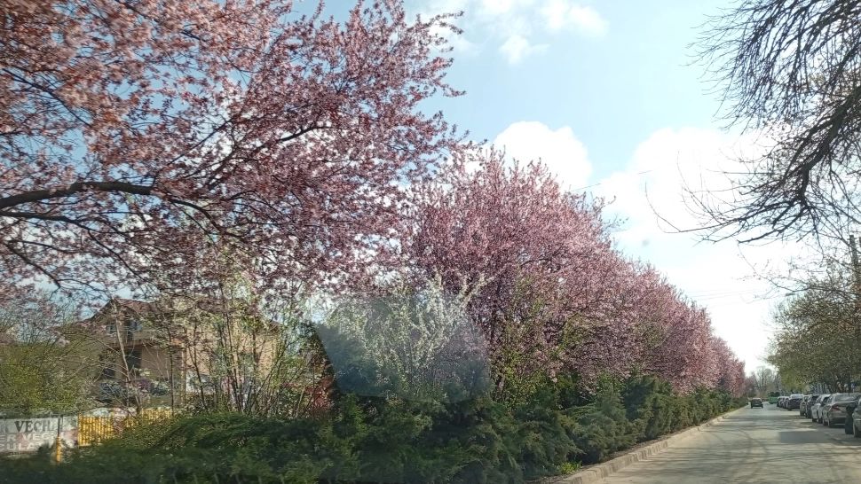 Vești bune de la meteorologi: cum va fi vremea în prima și a doua zi de Paște