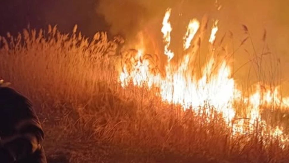 Incendiu masiv de vegetație, extins din Gorj în Vâlcea: 50 de hectare afectate, pompierii s-au luptat ore în șir că flăcările