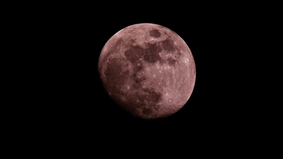 Spectacole cosmice pe cer în această primăvară. Când pot fi observate „Luna Roz” și „Luna Albastră”