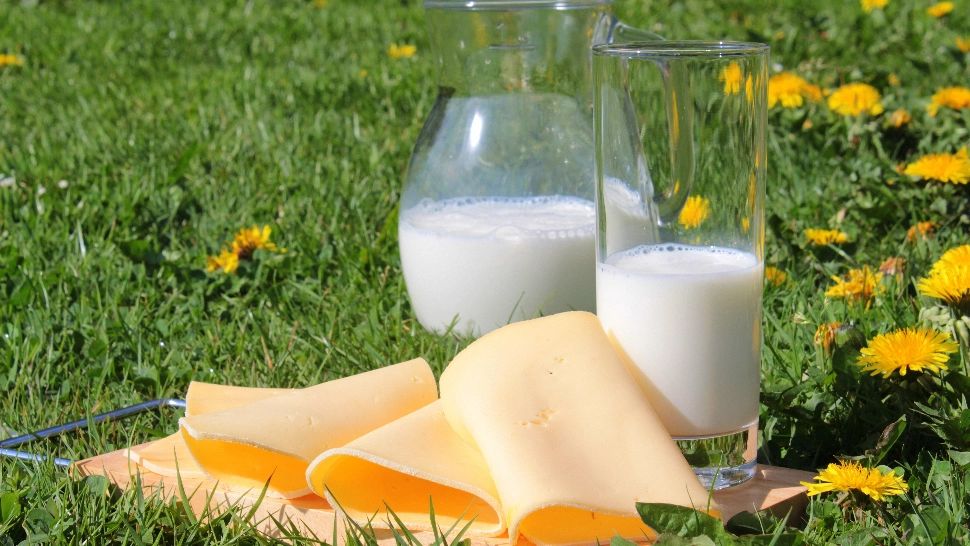 China deschide piața pentru lactatele din România: oportunitate majoră pentru producătorii locali