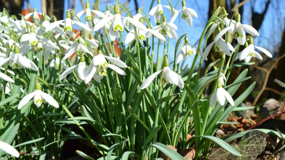 Cum va fi vremea azi în România: soare în mare parte din țară, dar apar și ploi slabe. Temperaturile urcă până la 24°