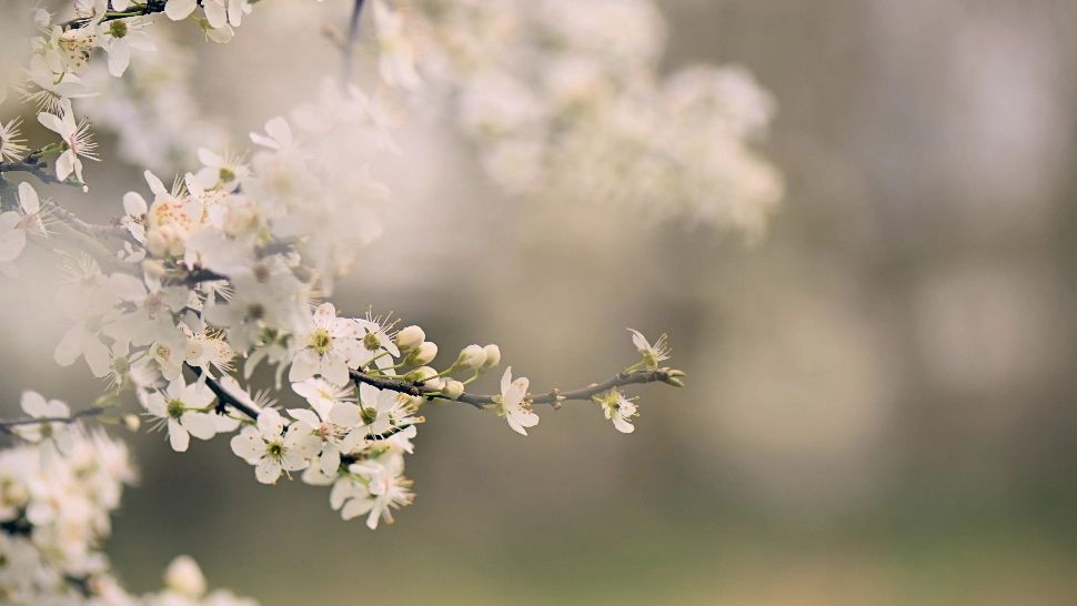 Cum va fi vremea de Înviere? Anunțul șefei ANM, Elena Mateescu: „Vreme mai rece pentru această perioadă”