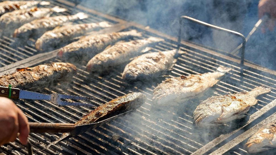 Ce se întâmplă în creier dacă mănânci pește regulat. De ce îl recomandă specialiștii 