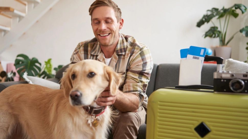 UE schimbă regulile pentru animalele de companie în călătorii. Măsuri dure împotriva comerțului ilegal