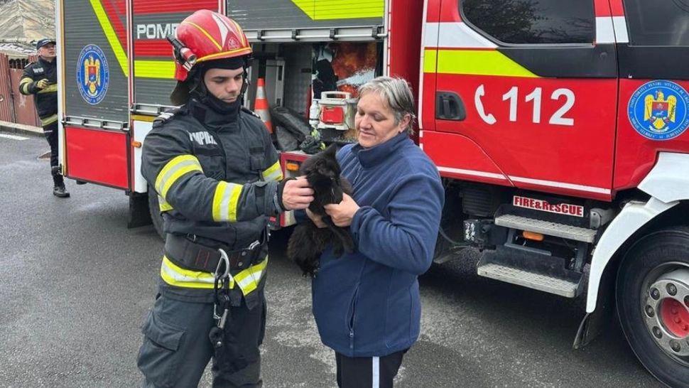 Pisică rămasă blocată la 12 metri înălţime, într-un brad. A fost solicitată intervenția pompierilor 